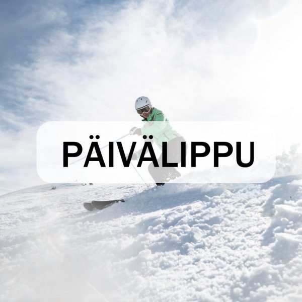 paivalippu